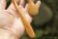 画像7: PORD HAND WORKS　Driftwood spoon