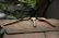 画像3: PORD HAND WORKS　Driftwood spoon