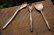 画像2: PORD HAND WORKS　Driftwood spoon