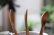 画像8: PORD HAND WORKS　Driftwood spoon