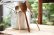 画像1: PORD HAND WORKS　Driftwood spoon (1)