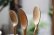 画像7: PORD HAND WORKS　Driftwood spoon