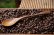 画像4: PORD HAND WORKS　Driftwood spoon