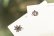 画像9: スパイスポストカード【アートスペース油亀オリジナル】【レターパック対応商品】 (9)