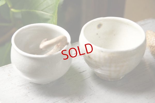 画像2: 四海大　粉引湯呑 / 白瓷湯呑
