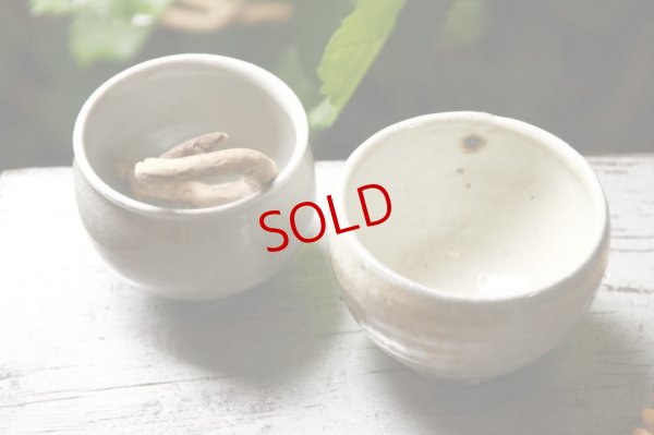 画像5: 四海大　粉引湯呑 / 白瓷湯呑