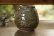 画像2: 四海大　マスカットオブアレキサンドリア　灰釉小壺