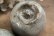 画像14: 四海大　マスカットオブアレキサンドリア　灰釉湯呑