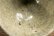 画像6: 四海大　マスカットオブアレキサンドリア　灰釉　碗