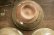 画像13: 四海大　マスカットオブアレキサンドリア　灰釉　小皿