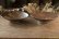 画像3: 四海大　マスカットオブアレキサンドリア　灰釉５寸皿