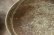 画像7: 四海大　マスカットオブアレキサンドリア　灰釉七寸皿