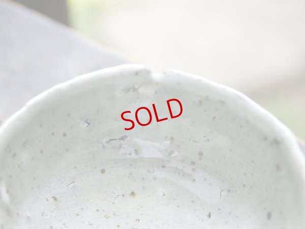 画像3: 四海大　白化粧碗