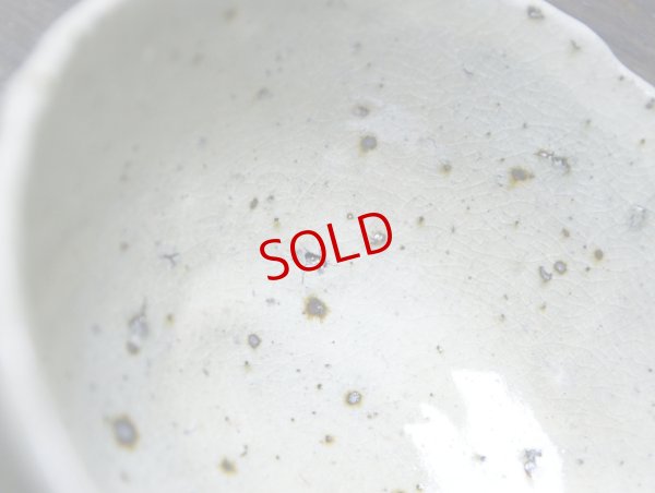 画像6: 四海大　白化粧碗