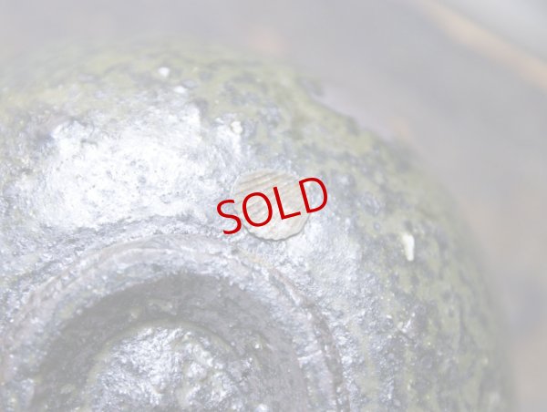 画像7: 四海大　灰釉鉢