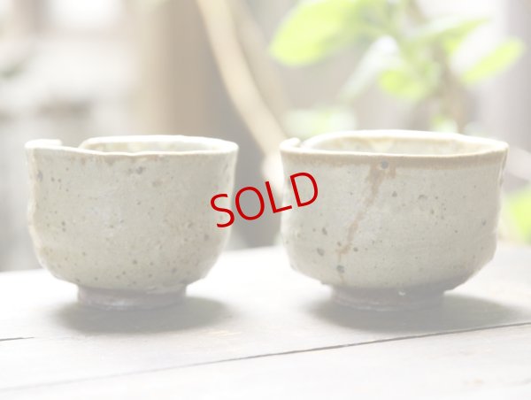 画像2: 四海大　灰釉片口