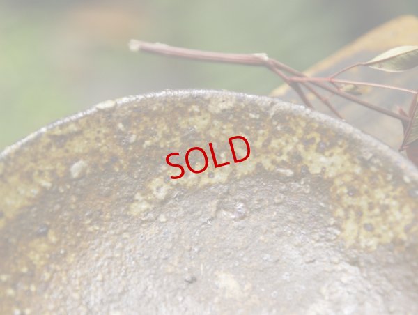 画像5: 四海大　灰釉浅鉢