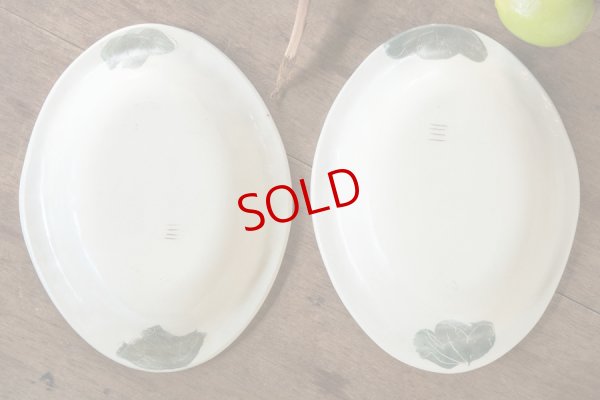 画像7: シマシマポタリ　楕円リム皿