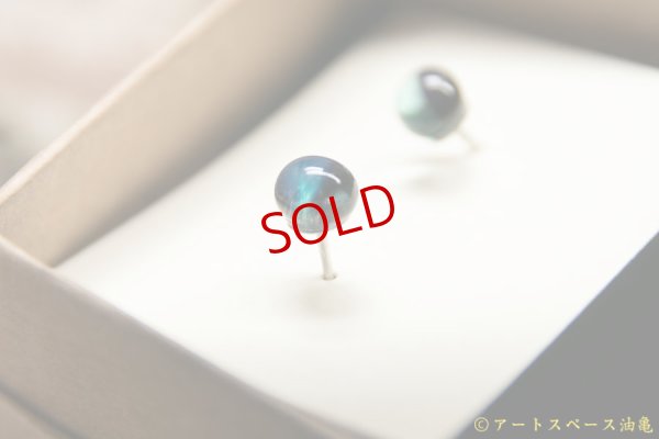 画像4: 白神典大　こもれびピアス