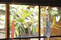 白神典大　マスカットオブアレキサンドリア灰　風リン【アートスペース油亀限定作品】