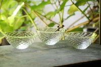 白神典大　くちまきサラダボウル