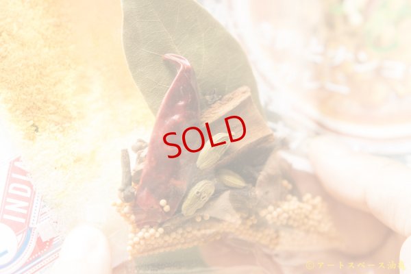 画像5: スペーススパイス　【COOK INDIA02】和魂印才たんどーる：塚本善重　『鶏ひき肉とナンコツキーマカレースパイスセット』