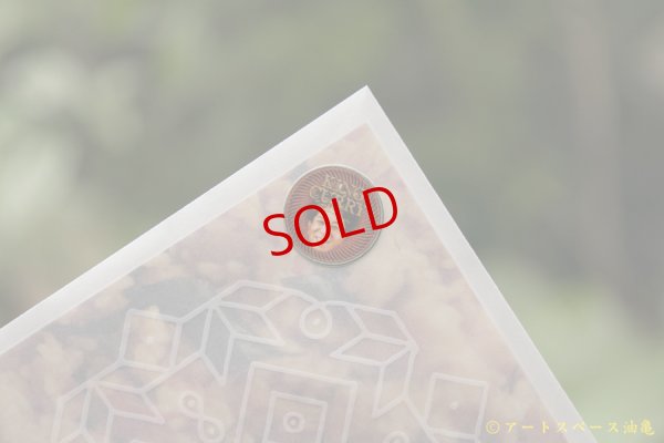 画像6: スペーススパイス　トマトライススパイスセット【UNKNOWN INDIA RICE】