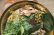 画像5: anandavana岡田美鶴さんのスパイス蒸留教室ランチ付　スパイスとハーブの蒸留体験【カレーのためのうつわ展 スパイスカレッジ 2025/11/9（日）9:30〜12:30】※参加費6600円は当日お支払いをお願いいたします。