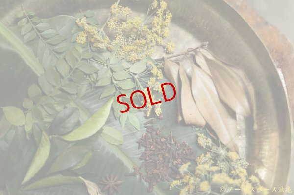 画像5: anandavana岡田美鶴さんのスパイス蒸留教室ランチ付　スパイスとハーブの蒸留体験【カレーのためのうつわ展 スパイスカレッジ 2025/11/9（日）9:30〜12:30】※参加費6600円は当日お支払いをお願いいたします。