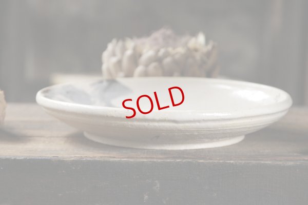 画像4: 須賀文子　志野梅に鷺図皿