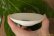 画像3: 須賀文子　染付　ねこ豆皿 (3)