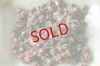 sunya「ソルクンブ産ティムル」TIMMUR SOLUKHUMBU 10g　
