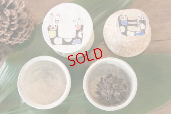 画像4: 高山愛　spicy-spice-pot