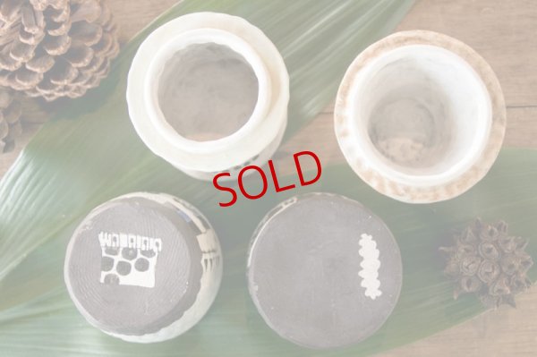 画像10: 高山愛　spicy-spice-pot