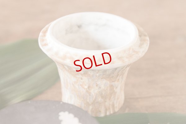 画像9: 高山愛　spicy-spice-pot