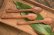 画像8: たま木工 カレースプーン（ オキナワ ウラジロガシ ）【 アソート作品 】