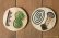 画像2: タナベヨシミ　プレート小皿 (2)
