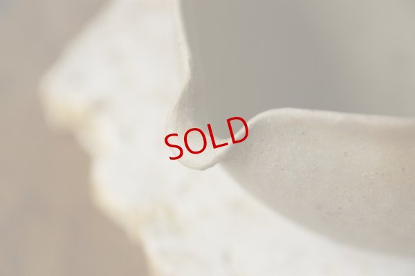 画像5: 田中太郎　片口