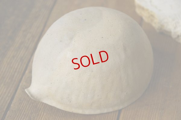 画像8: 田中太郎　片口