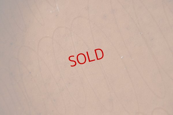 画像10: 田中太郎　 カレー皿