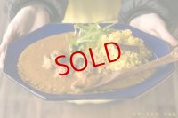 スペーススパイス　和魂印才たんどーる　鶏肉の山椒ココナッツカレー