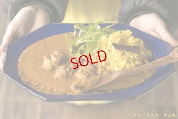 画像1: スペーススパイス　和魂印才たんどーる　鶏肉の山椒ココナッツカレー