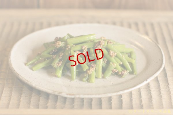 画像1: 寺村光輔　泥並釉　オーバルプレート（Ｓ）