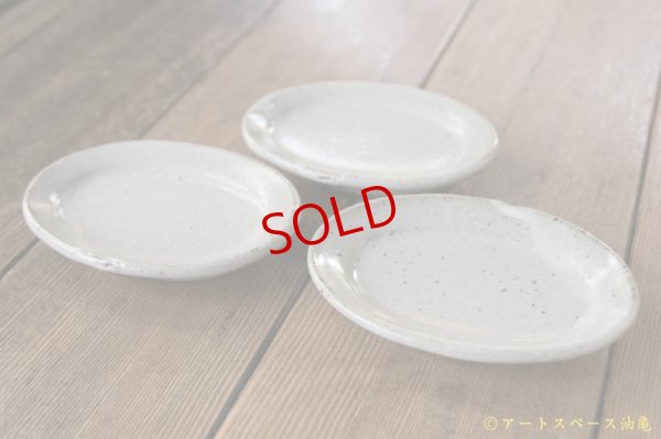 画像2: 寺村光輔　泥並釉　オーバルプレート（ＳＳ）【アソート作品】