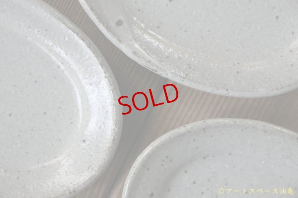 画像5: 寺村光輔　泥並釉　オーバルプレート（ＳＳ）【アソート作品】