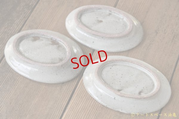 画像8: 寺村光輔　泥並釉　オーバルプレート（ＳＳ）【アソート作品】