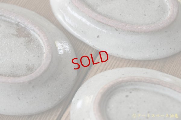 画像7: 寺村光輔　泥並釉　オーバルプレート（ＳＳ）【アソート作品】