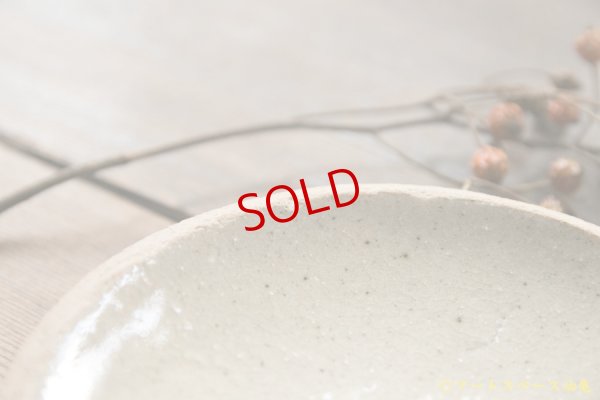 画像5: 寺村光輔　並白釉　４寸丸皿（ 薪 )　