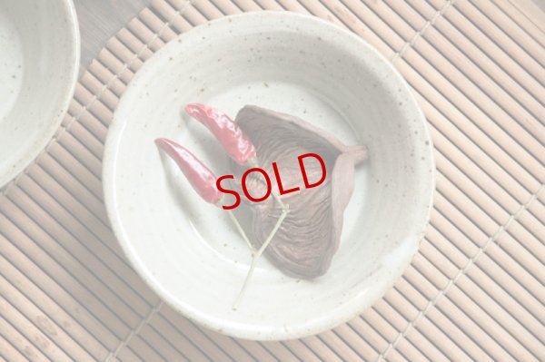 画像6: 寺村光輔　林檎灰釉　５．５寸浅鉢【アソート作品】　