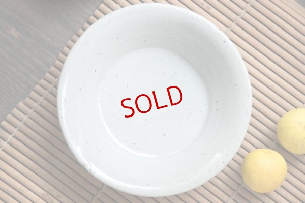 画像6: 寺村光輔　泥並釉　６寸浅鉢【アソート作品】　